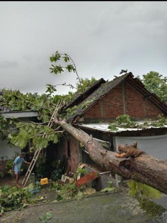 HUJAN DISERTAI ANGIN RIBUT MELANDA